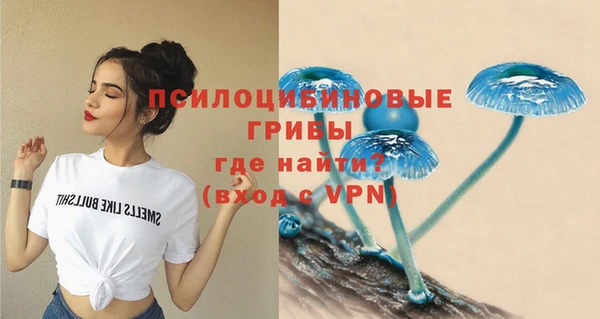 шишки Волосово