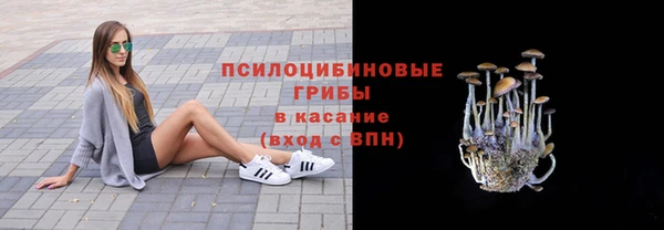 дживик Володарск