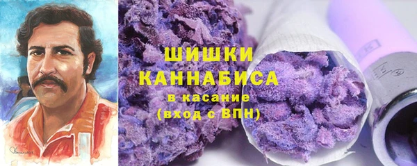 стафф Богданович