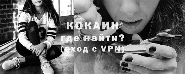 стафф Богданович